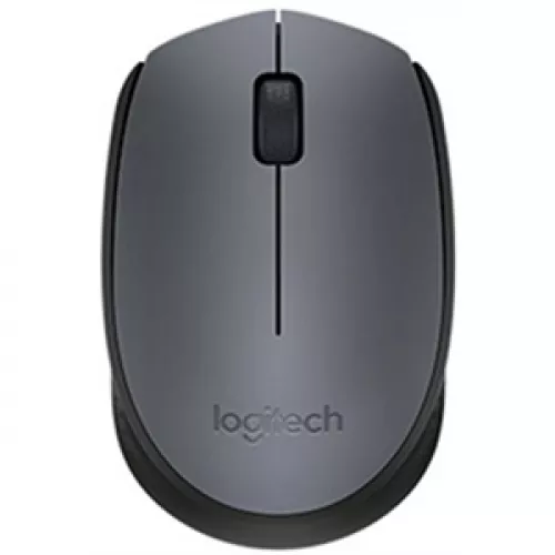 Logitech M170
