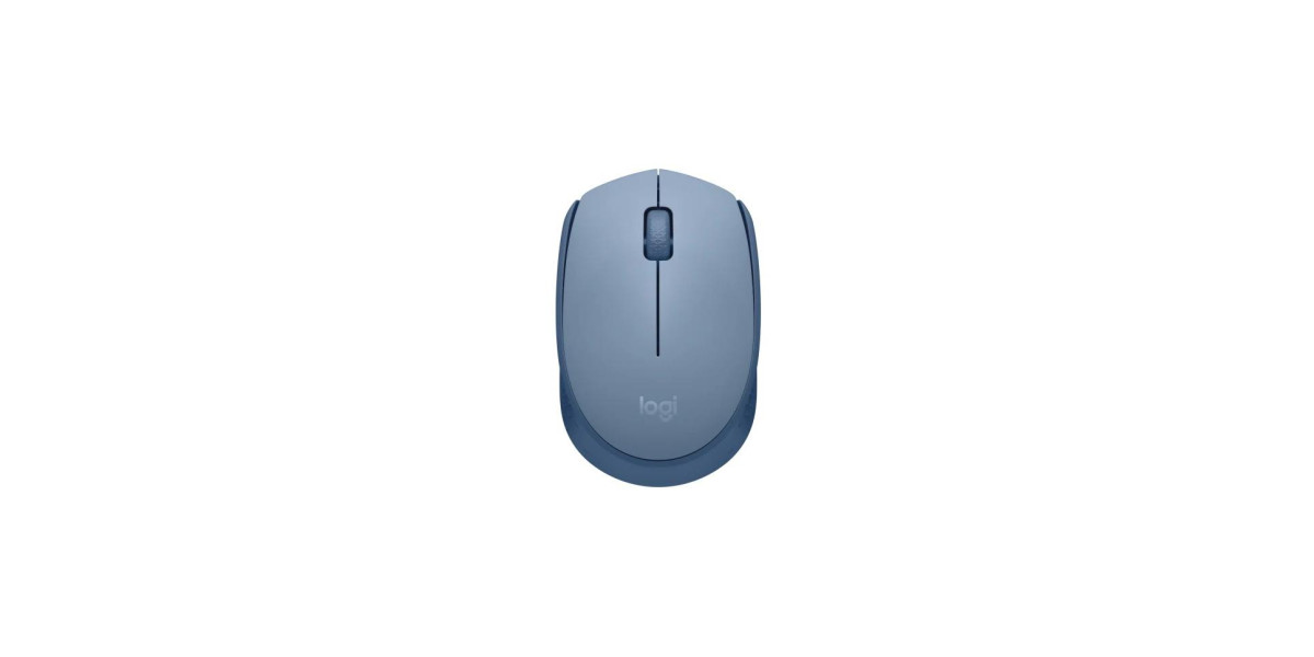 Logitech M171 Blue